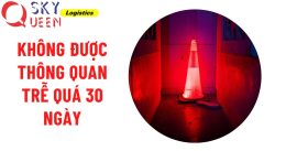 Không được thông quan hàng hóa trễ quá 30 ngày cùng Sky Queen 2018