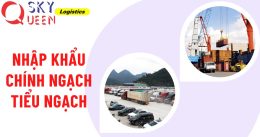 Nhập khẩu chính ngạch – tiểu ngạch  cùng Sky Queen 2018