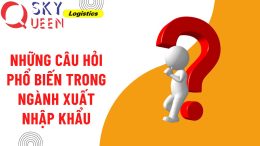 14 câu hỏi xuất nhập khẩu thường xuyên xuất hiện cùng Sky Queen 2018