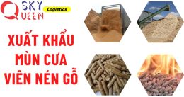 Bí quyết xuất khẩu mùn cưa, viên nén gỗ cùng Sky Queen 2018