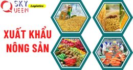 7 bước cơ bản xuất khẩu nông sản cùng Sky Queen 2018