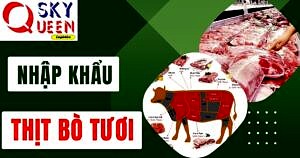 THỦ TỤC NHẬP KHẨU THỊT BÒ TƯƠI