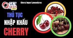 NHỮNG ĐIỀU CẦN BIẾT KHI NHẬP KHẨU CHERRY