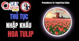 THỦ TỤC NHẬP KHẨU HOA TULIP