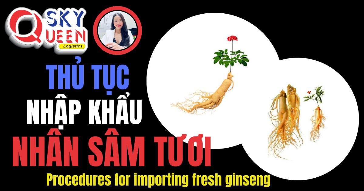 Thủ tục nhập khẩu Nhân Sâm Tươi -Sky Queen Logistics