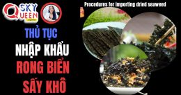 THỦ TỤC NHẬP KHẨU RONG BIỂN KHÔ
