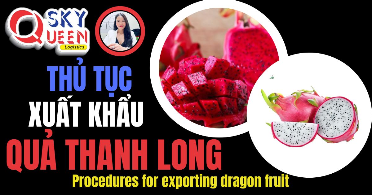 THỦ TỤC XUẤT KHẨU QUẢ THANH LONG Thủ tục xuất khẩu Quả Thanh Long - Sky Queen Logistics