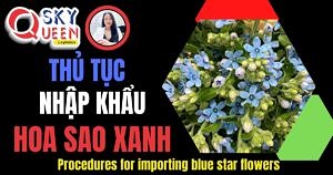 THỦ TỤC NHẬP KHẨU HOA SAO XANH