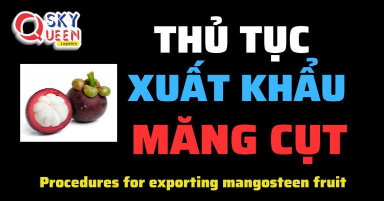 THỦ TỤC XUẤT KHẨU MĂNG CỤT Thủ tục xuất khẩu Măng Cụt-Sky Queen Logistics