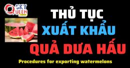 THỦ TỤC XUẤT KHẨU QUẢ DƯA HẤU