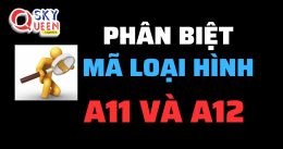 PHÂN BIỆT MÃ LOẠI HÌNH A11 VÀ A12