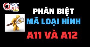 PHÂN BIỆT MÃ LOẠI HÌNH A11 VÀ A12