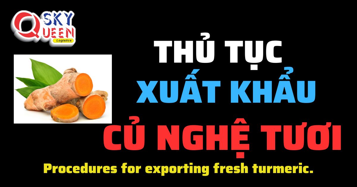 Thủ tục xuất khẩu Củ Nghệ Tươi - Sky Queen Logistics.