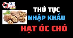 THỦ TỤC NHẬP KHẨU HẠT ÓC CHÓ