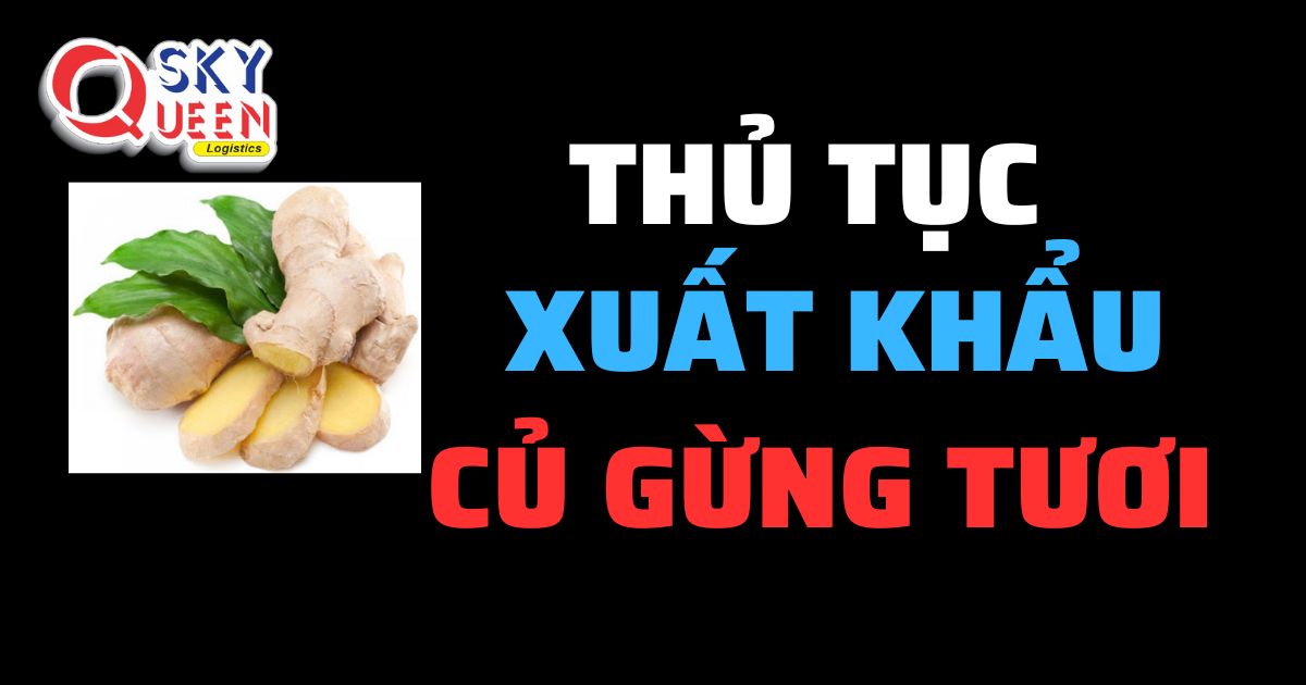 Thủ tục xuất khẩu Củ Gừng Tươi - Sky Queen Logistics.