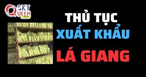 THỦ TỤC XUẤT KHẨU LÁ GIANG