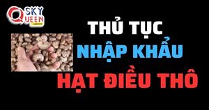 THỦ TỤC NHẬP KHẨU HẠT ĐIỀU THÔ