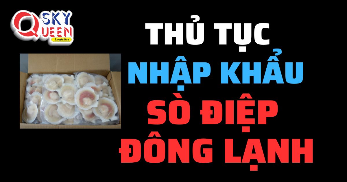 Thủ tục nhập khẩu Sò Điệp Đông Lạnh - Sky Queen Logistics.