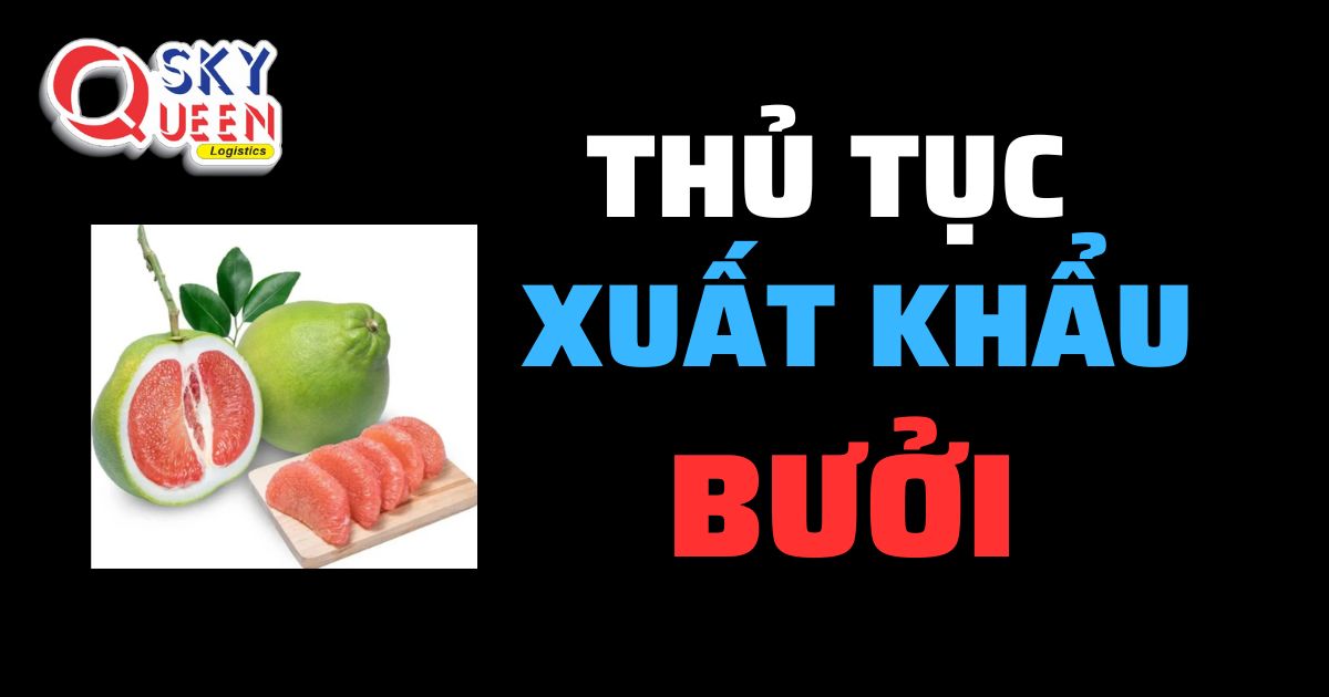 Thủ tục xuất khẩu Bưởi - Sky Queen Logistics.