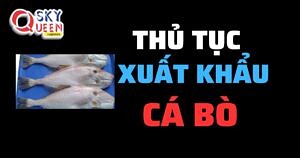 THỦ TỤC XUẤT KHẨU CÁ BÒ