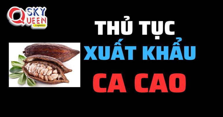 Thủ tục xuất khẩu Ca Cao - Sky Queen Logistics.