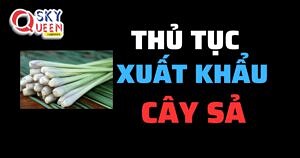 THỦ TỤC XUẤT KHẨU CÂY SẢ