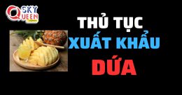 THỦ TỤC XUẤT KHẨU DỨA SANG CHÂU ÂU