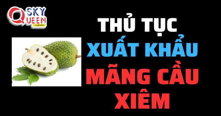 Thủ tục xuất khẩu Mãng Cầu Xiêm - Sky Queen Logistics.