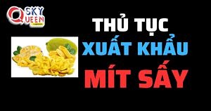 THỦ TỤC XUẤT KHẨU MÍT SẤY