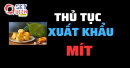 THỦ TỤC XUẤT KHẨU MÍT