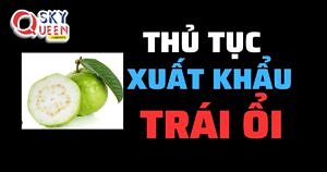 THỦ TỤC XUẤT KHẨU ỔI