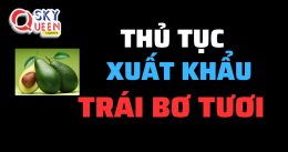 THỦ TỤC XUẤT KHẨU TRÁI BƠ TƯƠI