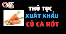 THỦ TỤC XUẤT KHẨU CỦ CÀ RỐT