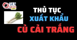 THỦ TỤC XUẤT KHẨU CỦ CẢI TRẮNG