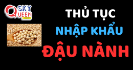 THỦ TỤC NHẬP KHẨU ĐẬU NÀNH