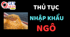 THỦ TỤC NHẬP KHẨU NGÔ