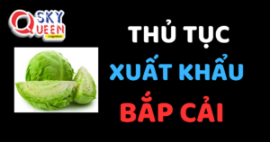 THỦ TỤC XUẤT KHẨU BẮP CẢI