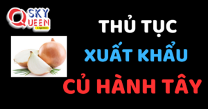 THỦ TỤC XUẤT KHẨU CỦ HÀNH TÂY