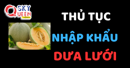 THỦ TỤC NHẬP KHẨU DƯA LƯỚI