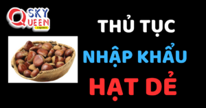 THỦ TỤC NHẬP KHẨU HẠT DẺ