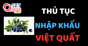 THỦ TỤC NHẬP KHẨU VIỆT QUẤT