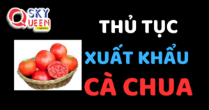 THỦ TỤC XUẤT KHẨU CÀ CHUA