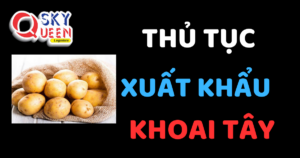 THỦ TỤC XUẤT KHẨU KHOAI TÂY