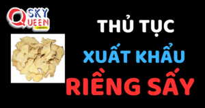 THỦ TỤC XUẤT KHẨU RIỀNG SẤY