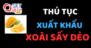 THỦ TỤC XUẤT KHẨU XOÀI SẤY DẺO