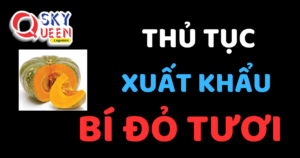 THỦ TỤC XUẤT KHẨU BÍ ĐỎ TƯƠI