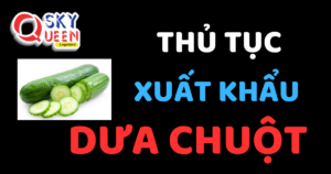 THỦ TỤC XUẤT KHẨU DƯA CHUỘT