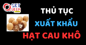 THỦ TỤC XUẤT KHẨU HẠT CAU KHÔ