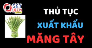 THỦ TỤC XUẤT KHẨU MĂNG TÂY