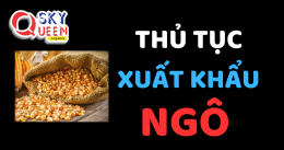 THỦ TỤC XUẤT KHẨU NGÔ